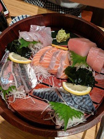 Kaishinmaru Jr Kishibe